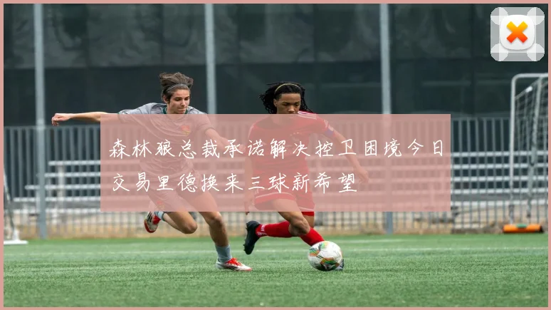 森林狼总裁承诺解决控卫困境今日交易里德换来三球新希望