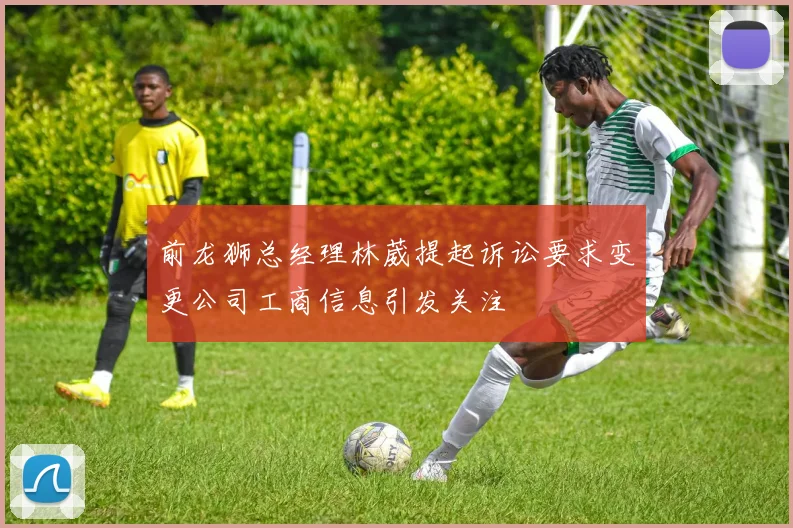 前龙狮总经理林葳提起诉讼要求变更公司工商信息引发关注